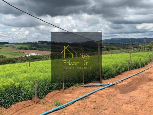 #64 - Sítio para Venda em Bragança Paulista - SP - 2